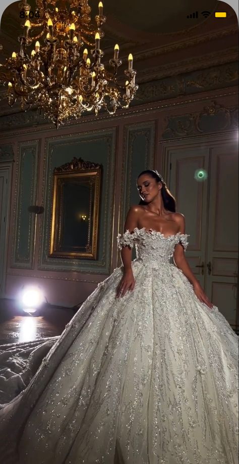 Dress In Fall, Albina Dyla, Fairytale Bridal, Big Wedding Dresses, Elegant Bridal Gown, Dream Wedding Decorations, Fairy Tale Wedding Dress, Pretty Wedding Dresses, Fancy Wedding Dresses