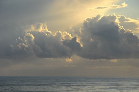 Clouds over the ocean lit up by early morning light  Photo taken by DennysGirlPhotography  Introducing my new photography business Pinterest board - DennysGirlPhotography Morning Ocean, Ocean Clouds, Business Pinterest, Clouds Landscape, Free Wallpaper Backgrounds, Oil Painting Inspiration, New Photography, Light Photo, Ocean Landscape