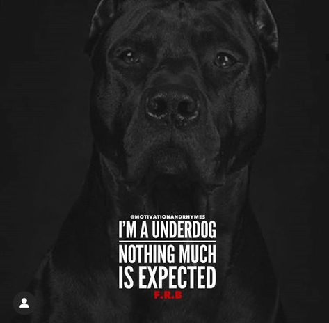 Underdog Quotes, Lets Get Started, Appreciate Life, The Underdogs, Motivation Quotes, True Quotes, Motivational Quotes, Inspirational Quotes, Let It Be