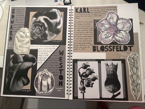 Photography Research Page Gcse, Gcse Natural Forms Sketch Books, Gcse Ideas Page, Logbook Ideas Design, Art Analysis Sketchbook, Gcse Art Page Layout Ideas, Art Book Page Ideas, Art Sketchbook Backgrounds Ideas, Mark Making Gcse Art Sketchbook Ideas