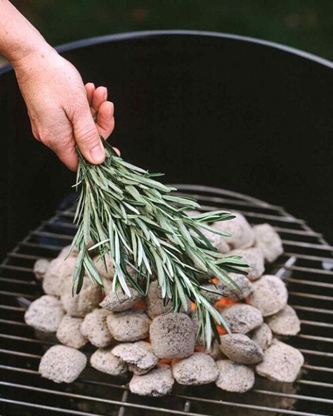 Meat Marinade, Natural Mosquito Repellant, Natural Pest Control, Open Fire, Camping Fun, Camping Ideas, Cool Ideas, Fresh Rosemary, Camping Food