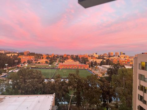 Ucla Dorm Room, Ucla Dorm, Sunset Sky Aesthetic, Ucla College, Ucla University, Ucla Campus, College Necessities, Biology Major, California College