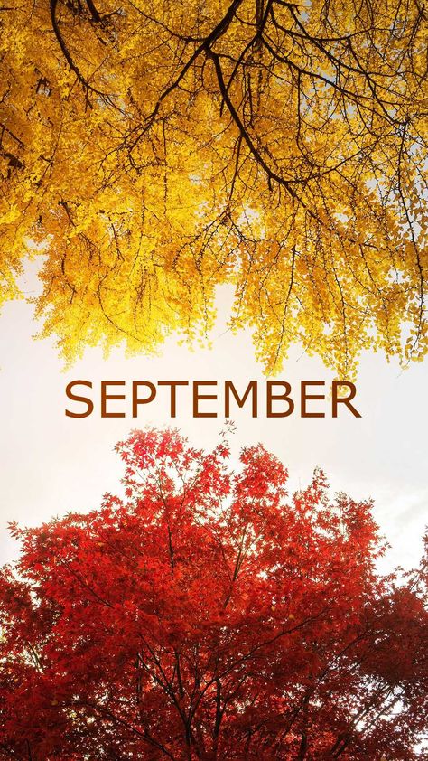 Hello September Images, September Travel, New Month Wishes, September Images, New Month Quotes, September Wallpaper, Hello September, Days And Months, Calendar Wallpaper