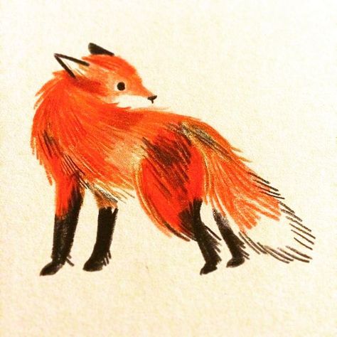 All Posts • Instagram Cute Fox Drawing, Fox Sketch, Color Pencil Illustration, Fox Drawing, Fox Illustration, Alberto Giacometti, Sketch Artist, Illustrator Illustration, Fox Art