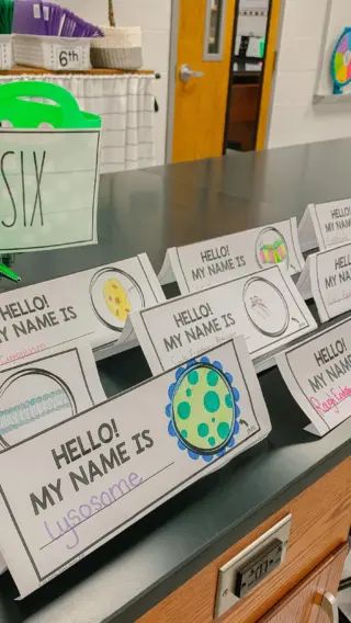 17 Ways to Organize Your Science Classroom ⋆ The Trendy Science Teacher Science Teacher Classroom, Science Room Decor, High School Science Classroom, Science Room, Teachers Room, Science Classroom Decorations, Biology Classroom, Biology Labs, 4th Grade Science