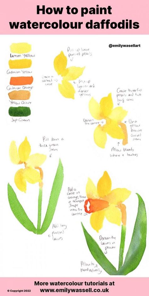 Daffodil Watercolour Painting, How To Paint A Daffodil, How To Paint Daffodils, Watercolor Daffodils Tutorial, Watercolour How To, Colourful Watercolour Painting, Easter Watercolor Paintings Easy, Watercolour Flowers Tutorial, Watercolour Easter Cards