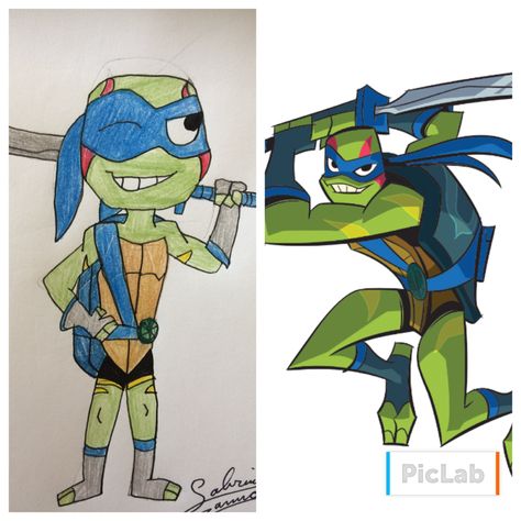 Ninja Turtles Sketch, Turtles Sketch, Rottmnt Leonardo, Turtle Sketch, Leonardo Tmnt, Tmnt Turtles, Teenage Mutant Ninja Turtle, Ninja Turtle, Cute Animal Drawings