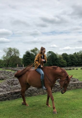 Hadid Farm, Gigi Hadid House, Horse Farm, Farm Girl, Horse Girl, Gigi Hadid, Mom Style, Cute Funny Animals, Farm Life