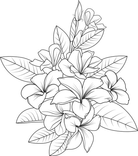 Frangipani Drawing, Flower Design Sketch, Frangipani Tattoo, Flower Sketch Pencil, Geometric Tattoo Hand, White Background Floral, Tree Frog Tattoos, Vector Cityscape, Frangipani Flower