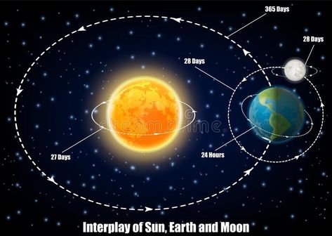 Interplay of Sun, Earth and Moon, vector educational poster royalty free illustration Physics Mechanics, Gcse Physics, Earth Sun And Moon, Earth Gravity, Science Models, Moon Orbit, Astronomy Facts, Astronomy Science, Moon Vector