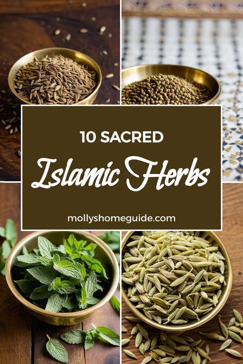 Islamic Science, Medical Herbs Natural Treatments, Medical Herbs And Their Uses, Ancient Herbal Medicine, Best Herbalism Books, Books On Medicinal Plants, Herb Books Herbal Medicine, Herbal Drinks, Slow Cooked Meals