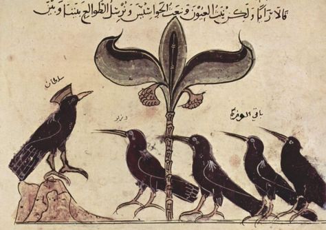 <span class="caption_text">A handpainted illustration circa 13th century AD taken from "The Fables of Bidpai".</span> Harun Al Rashid, The Crows, Quoth The Raven, Crow Art, Jackdaw, Crows Ravens, Medieval Manuscript, Arte Animal, Medieval Art