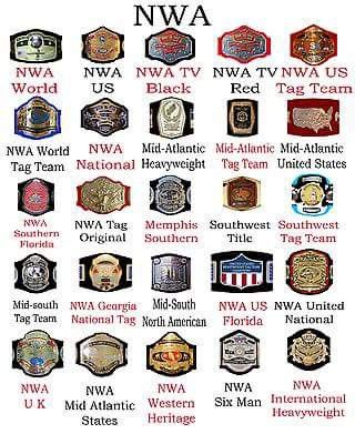 NWA Championships Anime Wrestling, Nwa Wrestling, Wwe Championship Belts, Wwe Belts, Wrestling Belts, Belt Collection, Wrestling Posters, Wrestling Gear, Championship Belt