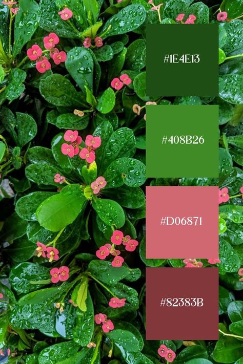 Green And Pink Palette, Color Scheme Generator, Pink Combination, Color Generator, Fresh Morning, Green Color Combinations, Pink Color Palette, Flip Image, Green Color Schemes