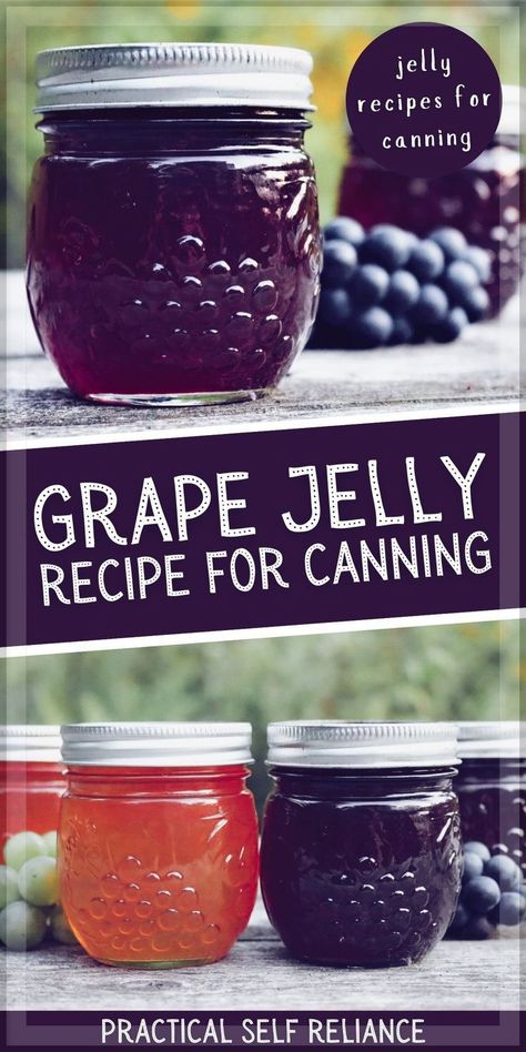 Grape Jelly Recipe for Canning: Jelly Recipes for Canning - If you're looking for grape jelly recipes for canning, you'll love this homemade grape jelly. Learn how to make homemade grape jelly from fresh grapes or grape juice, pectin, and sugar. Incudes easy, step by step instructions for canning! Grape Jelly For Canning, Concord Grape Jelly Recipe Canning, Grape Jelly With Pectin, Grape Jelly Recipe With Sure Jell, Grape Jelly Recipe Homemade No Pectin, Homemade Grape Jelly From Grapes, Grape Jelly No Pectin, Grape Preserves Recipe, How To Make Grape Juice From Grapes