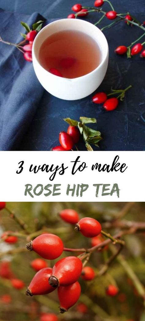 how to make rosehip tea, rose hip tea three ways Rose Hip Tea Recipes, Rosehip Tea Recipes, Rosehip Tea Benefits, Rose Hip Tea, Rosehip Recipes, Medicinal Recipes, Mixology Recipes, Medicinal Wild Plants, Teas Recipes