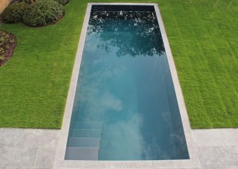 Barn Pool, Lap Pool Designs, Small Indoor Pool, Bio Pool, Moderne Pools, Luxury Swimming Pools, Garden Swimming Pool, Luxury Pools, Modern Pools