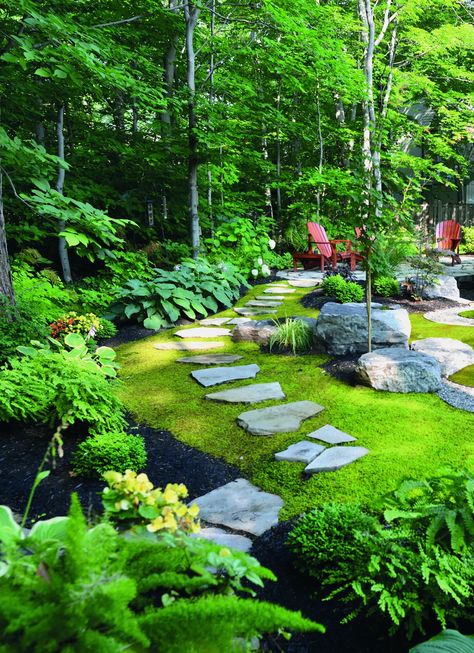 Start Your Own Moss Lawn - Laidback Gardener Planting Zones, Moss Lawn, Lawn Roller, Tiered Garden, Deco Nature, Moss Garden, Ground Cover Plants, Side Yard, Lawn Decor