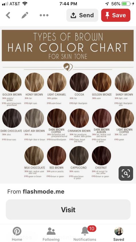 Types Of Hair Colouring Techniques, Rich Chocolate Brown Hair Color Formula, Chestnut Brown Hair Formula, Light Mocha Brown Hair, Hair Colour Ideas For Brown Skin, Types Of Brown Hair, Global Hair Color, Mocha Brown Hair, Matrix Hair Color