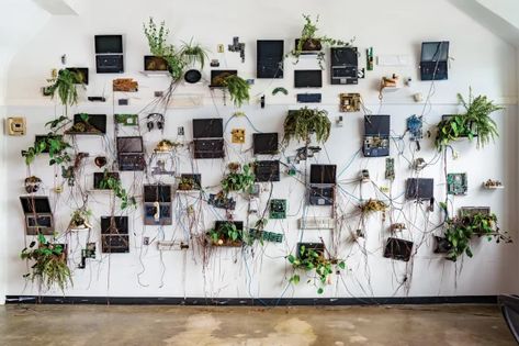 'The World After Us' explores the afterlife of our tech Waste Art, E Waste Recycling, Wisconsin Art, Electronic Waste, Reusable Bottle, Recycling Programs, Art Installation, Science Art, British Artist