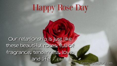 Happy Rose Day Wishes Messages and Sayings Cards | Best Wishes Msg For Boyfriend, Rose Day Msg For Boyfriend, Rose Day Thought, Rose Day Msg For Husband, Rose Day Wishes For Husband, Rose Day Wishes For Girlfriend, Rose Day Wishes, Happy Rose Day, Love Proposal