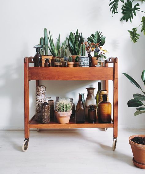 Glass Apothecary Jars, Casa Vintage, Bar Cart Decor, Apothecary Jars, 인테리어 디자인, Plant Decor, Interior Inspiration, Vintage Stil, Home Deco