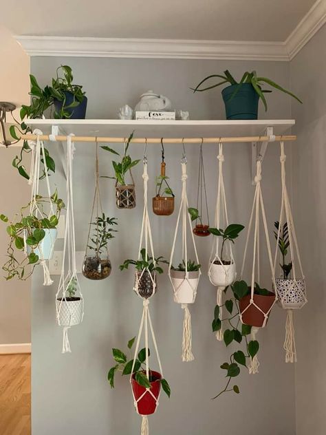 Plants On Hooks, Coat Rack Plant Hanger, Where To Hang Plants Indoors, Indoor Plant Display Ideas Small Spaces, Indoor Plants Ideas Display, Cat Proof Plant Display, High Shelf Decorating Ideas, Hanging Plant Ideas, Plant Display Ideas