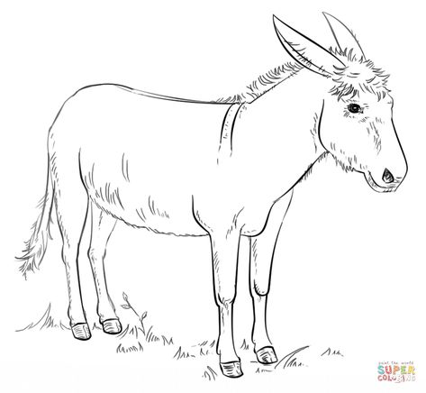 Donkey | Super Coloring Drawing Donkey, Donkey Drawing, Cute Donkey, Pencil Drawing Tutorials, Drawing Tutorials For Kids, A Donkey, Horse Drawings, Animal Sketches, Drawing Images