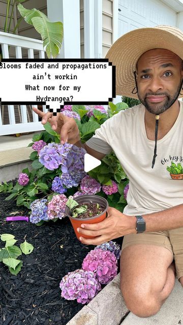 Durrell Eastland on Instagram: "🌸✨ Surprise! Sometimes nature takes over and gifts you a new hydrangea! Here’s how I accidentally grew a new hydrangea when a stem rooted itself into the ground:

	1.	Nature’s Magic: A stem from my hydrangea naturally touched the ground.
	2.	Rooting: Over time, the stem developed roots right into the soil.
	3.	Discovery: I noticed new growth and realized a new plant had formed!
	4.	Care: Gently separated the new plant and transplanted it to its own spot.

💚
Nature works wonders when you least expect it! 🌿💚 
👕- “O Hey There” t-shirt available at TheBlackPlantMan.com
💚

#HydrangeaLove #GardenMagic #UnexpectedGardening #PlantPropagation #GreenThumb" How To Plant Hydrangea In Ground, Propagate Hydrangeas From Cuttings, Propagate Hydrangea From Leaves, Rooting Hydrangea Cuttings, When Is The Best Time To Transplant Hydrangeas, Hydrangea Leaves Turning Brown, Propagating Hydrangeas, Nature Words, Planting Hydrangeas