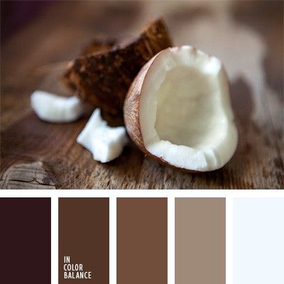 In Color Balance, Baking With Coconut Flour, Sepia Color, Color Palette Ideas, Pasta Dental, Coconut Oil Uses, Food Matters, Warm Palette, Palette Ideas