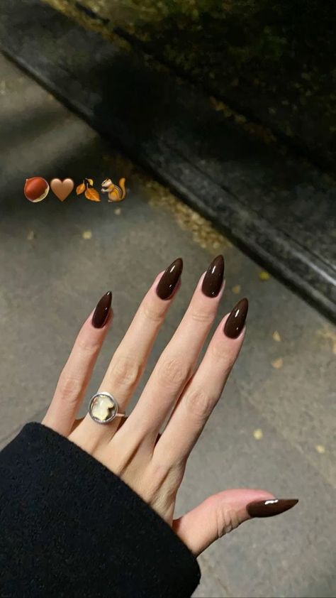 Dark Brown Nails Almond Shape, Brown French Manicure Almond, Natural Almond Nails Fall, Dark Chocolate Nails Design, October Nail Inspo Almond, Brown Almond Nails For Fall, Dark Brown Nail Ideas, Dark Brown Nails Almond, Brown Nails Autumn