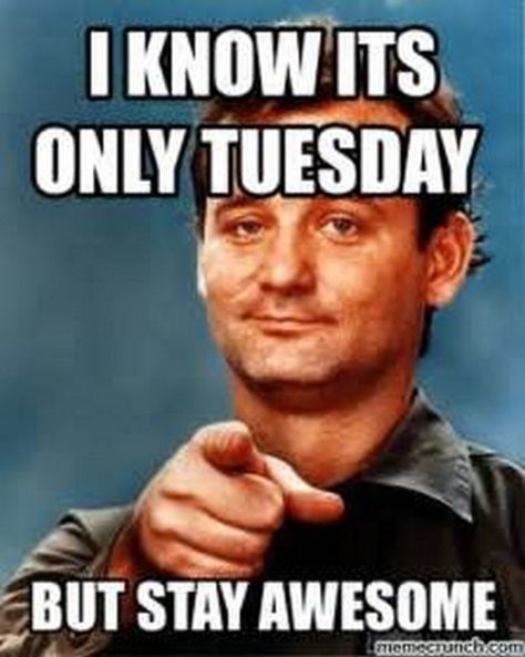 101 Tuesday Memes - "I know it's only Tuesday but stay awesome." Tuesday Quotes Funny, Funny Tuesday, Tuesday Meme, Family Guy Quotes, Its Only Tuesday, Stay Awesome, Happy Tuesday Quotes, Good Morning Tuesday, Morning Memes