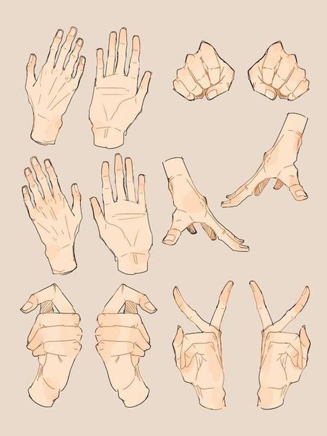 Hands Anatomy, Webtoon Inspiration, Arms Reference, Peace Sign Hand, Draw Hands, Drawing Hands, Hand Gestures, Hand Drawing Reference, Hand Reference