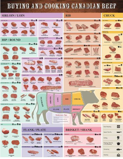 How to Know Your Cuts of Canadian Beef, the best guide around. Beef Cuts Diagram, Beef Chart, Beef Cuts Chart, Different Cuts Of Beef, Canadian Beer, Pulled Beef, Culinary Cooking, Grilled Meat Recipes, Beef Sirloin