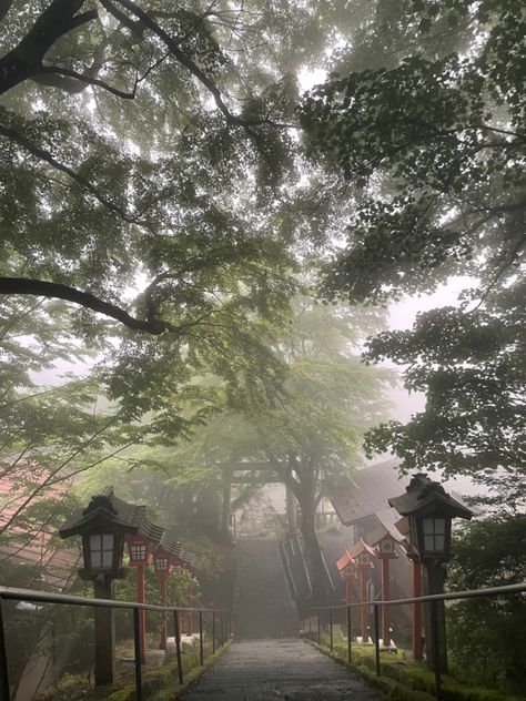 Shinto shrine in the mountains that reaches the clouds. Sun rays fall through the trees. #japan #mountains #clouds #aesthetic #aesthetictumblr #aestheticwallpaper #aestheticphotos Shinto Aesthetic, Japan Mountains, Japanese Mountains, Mountain Aesthetic, Clouds Aesthetic, Shinto Shrine, Japan Aesthetic, Hell Yeah, Sun Rays