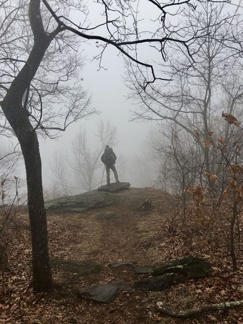 #Hiking in the mud and #rain https://thetrek.co/appalachian-trail/hiking-in-the-mud-and-rain/ coldcamping #moss globetrotter Decisions Aesthetic, Appalachian Gothic, Hiking In The Rain, Rose Taylor, Visual Essay, Pretty Vibes, Day Hiking, I Love Rain, Trail Hiking