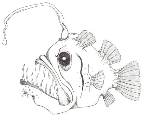 Zoe's Sea Creatures — Zoe Boekbinder Deep Sea Creatures Drawings, Deep Sea Fish Drawing, Anglerfish Drawing, Ocean Life Drawings, Sea Creatures Sketch, Drawing Ideas Sea, Ocean Creatures Drawings, Sea Monster Drawing, Sea Creatures Tattoo