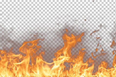 Fire Explosion, Fire Lion, Burning Rose, Fire Icons, Fire Horse, Earth Illustration, Lion Illustration, Logo Design Free Templates, Burning Fire