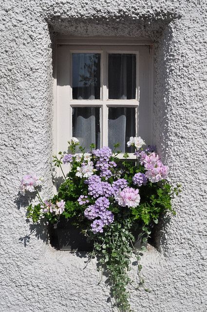 Culross Fife, Window Architecture, Fife Scotland, Window Box Flowers, Flower Window, Cool Doors, Beautiful Windows, Arched Windows, Window View