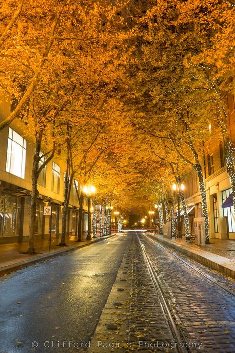 Portland Oregon City, Downtown Portland, Oregon City, Oregon Washington, Autumn Morning, City Pictures, Amazing Pictures, Christmas Aesthetic, Portland Oregon