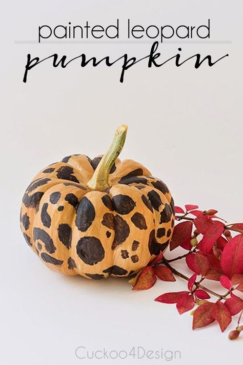 Find out how easy it easy to paint a leopard pumpkin pattern on faux or real pumpkins for a modern and fun fall look. All you need is some craft paint! | painted pumpkin | leopard pumpkin | via @jakonya Studded Pumpkin, Budget Diy Home Decor, Real Pumpkins, Boho Fall Decor, Modern Fall Decor, Easy To Paint, Large Pumpkins, Leopard Pumpkin, Halloween Pumpkins Painted