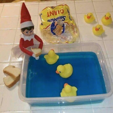 The Complete Index of Elf on the Shelf Ideas Diy Elf, Blue Jello, Elf Christmas Tree, Xmas Photos, Elf Antics, Rubber Ducks, Santa Claus Is Coming To Town, Elf Christmas, Elf On The Shelf Ideas