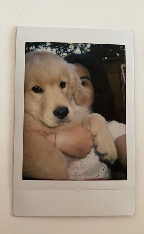 Pose With Puppy Photo Ideas, Dog Polaroid Pictures, Dog Polaroid, Dog Lover Aesthetic, Polaroid Selfie, Pet Dog Pictures, Instax Mini Ideas, Dog Snapchats, Dog Cuddles