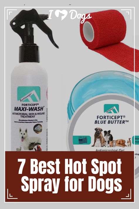 7 Best Hot Spot Spray for Dogs Dog Hot Spots, Itch Relief, Anti Itch, Dry Itchy Skin, Allergy Relief, English Springer, Insect Bites, Springer Spaniel, Itchy Skin