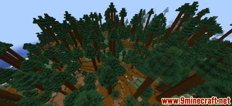 Taiga Biome, Pine Seeds, Minecraft Seed, Giant Tree, Spruce Tree, Minecraft Tutorial, Biome, Creepers, Kingston