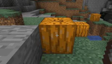 Just a while ago we learned about making a cake in Minecraft, and as delicious it turned out to be, we will not stop discovering and playing around with more recipes and foods in Minecraft. That being said, today we will learn how to make a pumpkin pie in Minecraft. Yes, there are a lot […] The post How To Make Pumpkin Pie In Minecraft [Quick Recipe] appeared first on GeekyFlow. Cake In Minecraft, Minecraft Mining, Making A Cake, Halloween Themes Decorations, Planting Pumpkins, Carved Pumpkin, Face Carving, How To Make Pumpkin, More Recipes