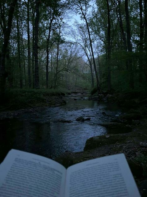 Russian Novels Aesthetic, Fyodor Dostoevsky Aesthetic, Forest Spirit Aesthetic, Dark River Aesthetic, Raskolnikov Aesthetic, Fyodor Dostoyevsky Aesthetic, Milena Core, Forest Aesthetic Dark, Forest With Water