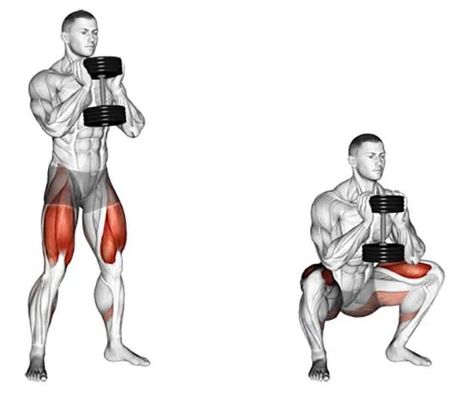 Squats Muscles Worked, Dumbbell Leg Workout, Killer Leg Workouts, Best Dumbbell Exercises, Best Leg Workout, Weighted Squats, Gluteal Muscles, Leg Workout At Home, Goblet Squat