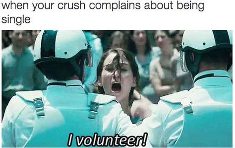 I volunteer as tribute!!! Funny Single, When Your Crush, Crush Humor, Single Humor, Super Funny Quotes, Being Single, Single People, Relatable Posts, Single Quotes