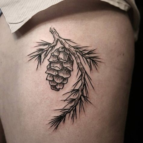 Evergreen Branch Tattoo, Pine Tree Branch Tattoo, Pine Branch Tattoo, Pine Cone Tattoo, Pinecone Tattoo, Tree Tattoo Black, Cone Tattoo, Maine Tattoo, Pine Tattoo